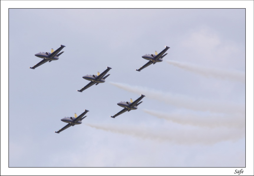 2009   05   Ferte Alais   293